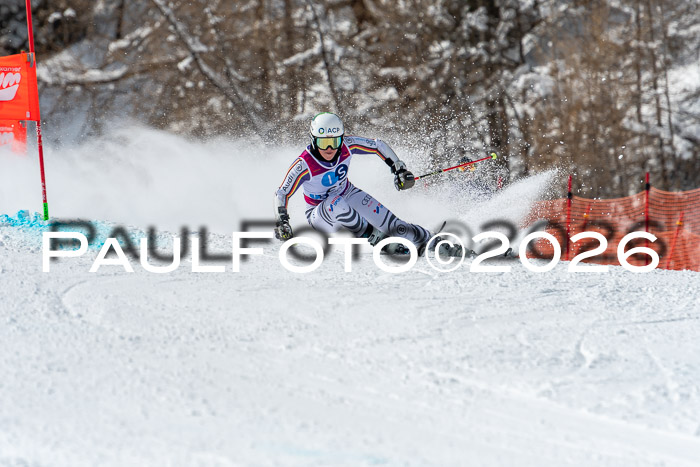 NC RS ,Frauen + Männer Axamer Lizum 28.03.2026