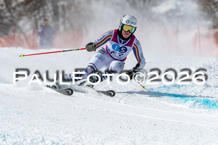 NC RS ,Frauen + Männer Axamer Lizum 28.03.2026