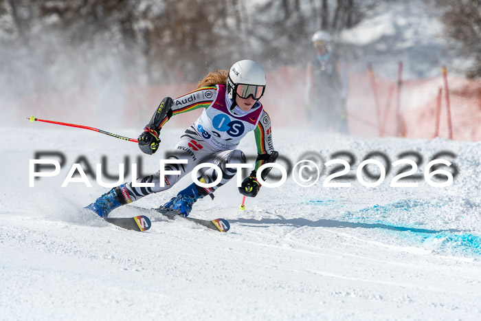 NC RS ,Frauen + Männer Axamer Lizum 28.03.2026