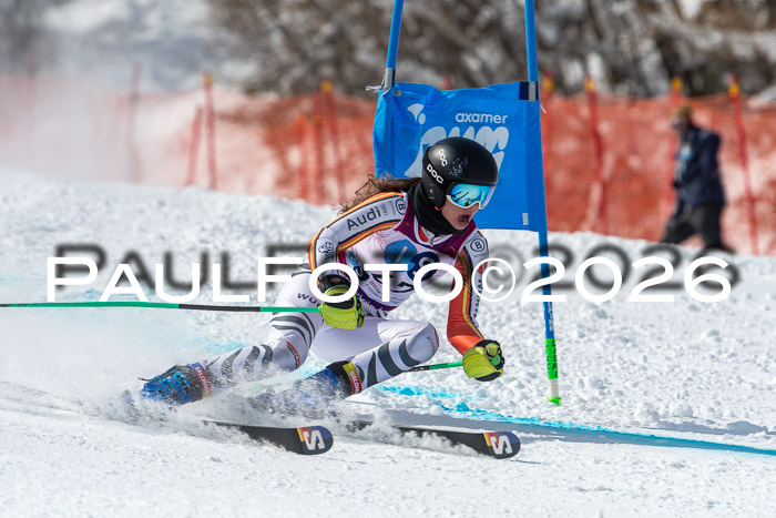 NC RS ,Frauen + Männer Axamer Lizum 28.03.2026