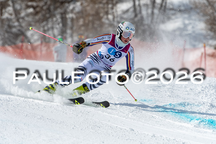 NC RS ,Frauen + Männer Axamer Lizum 28.03.2026