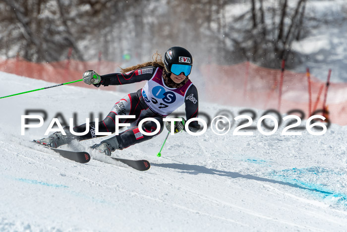 NC RS ,Frauen + Männer Axamer Lizum 28.03.2026