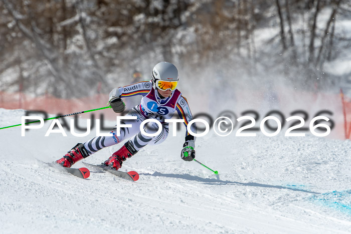 NC RS ,Frauen + Männer Axamer Lizum 28.03.2026