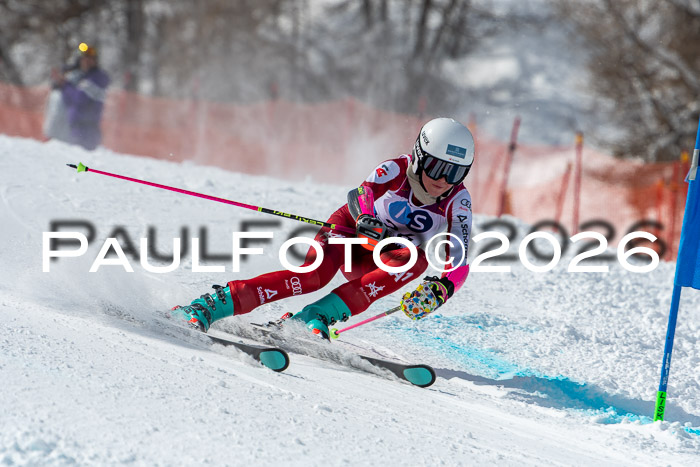 NC RS ,Frauen + Männer Axamer Lizum 28.03.2026