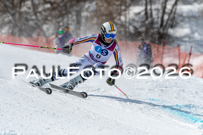 NC RS ,Frauen + Männer Axamer Lizum 28.03.2026