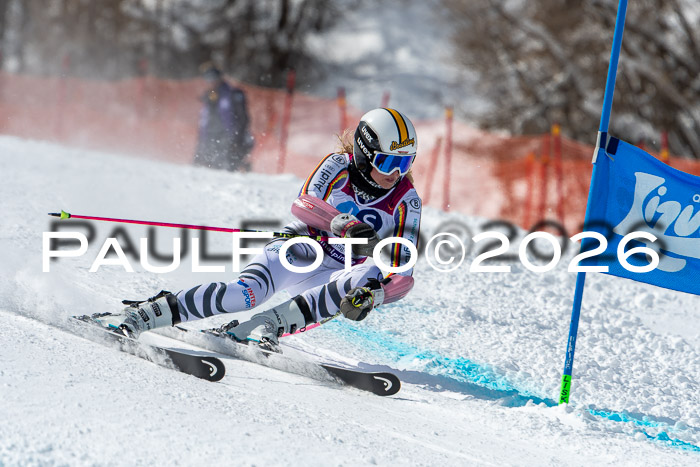 NC RS ,Frauen + Männer Axamer Lizum 28.03.2026