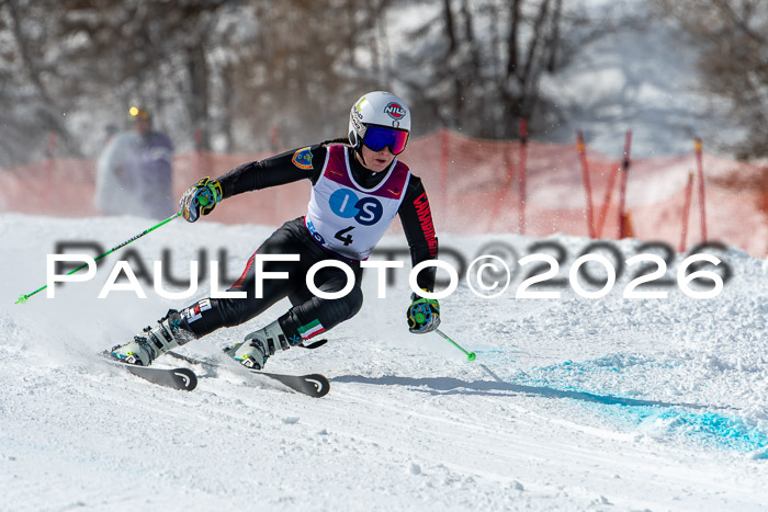 NC RS ,Frauen + Männer Axamer Lizum 28.03.2026