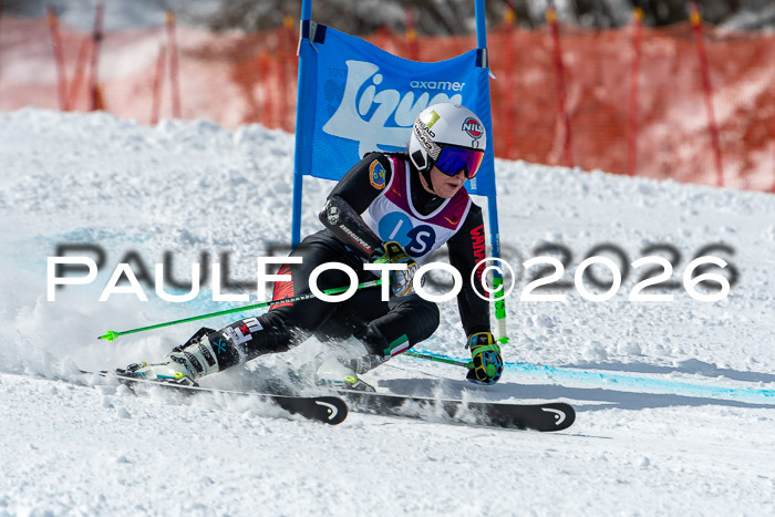 NC RS ,Frauen + Männer Axamer Lizum 28.03.2026