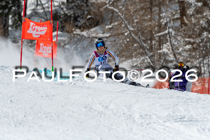 NC RS ,Frauen + Männer Axamer Lizum 28.03.2026