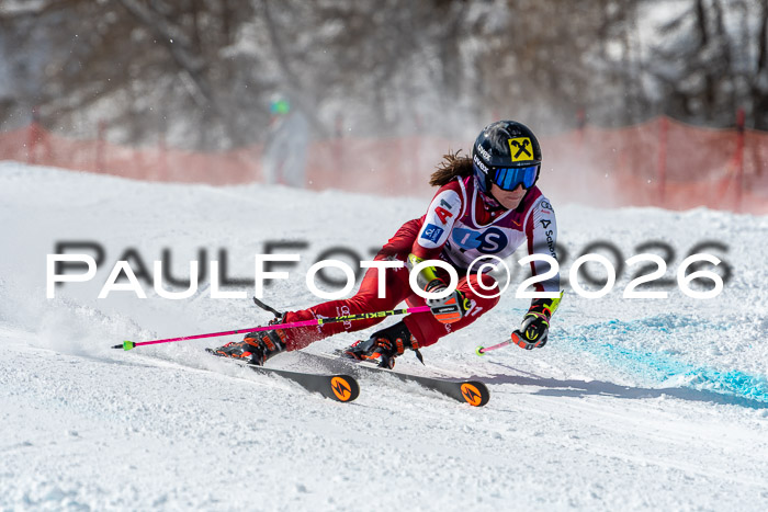 NC RS ,Frauen + Männer Axamer Lizum 28.03.2026