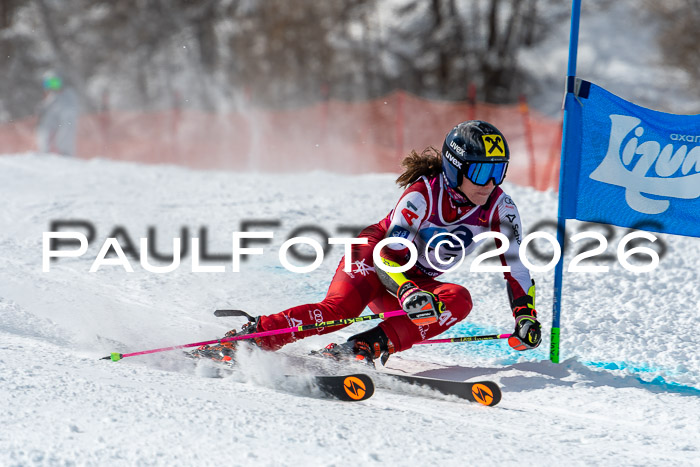 NC RS ,Frauen + Männer Axamer Lizum 28.03.2026