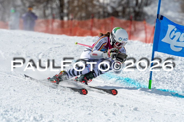 NC RS ,Frauen + Männer Axamer Lizum 28.03.2026