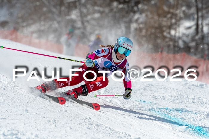 NC RS ,Frauen + Männer Axamer Lizum 28.03.2026