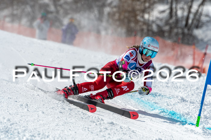 NC RS ,Frauen + Männer Axamer Lizum 28.03.2026