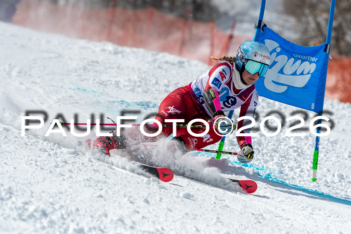 NC RS ,Frauen + Männer Axamer Lizum 28.03.2026