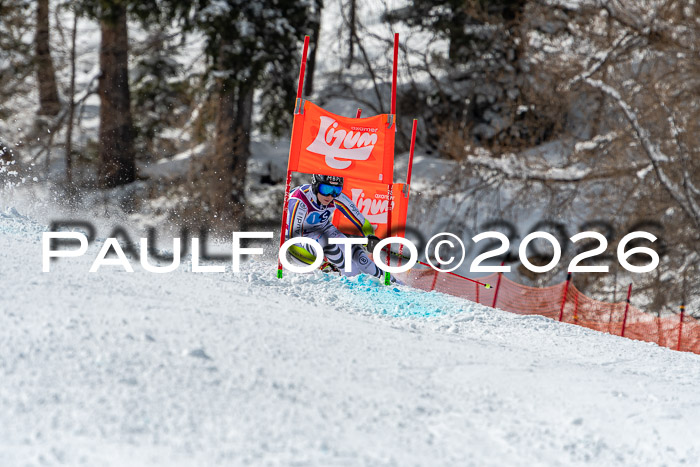 NC RS ,Frauen + Männer Axamer Lizum 28.03.2026