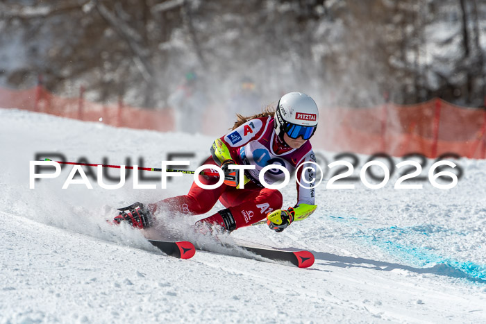 NC RS ,Frauen + Männer Axamer Lizum 28.03.2026