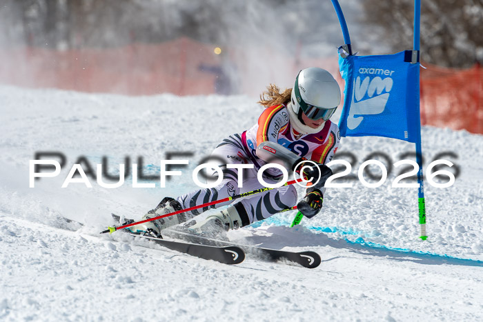 NC RS ,Frauen + Männer Axamer Lizum 28.03.2026