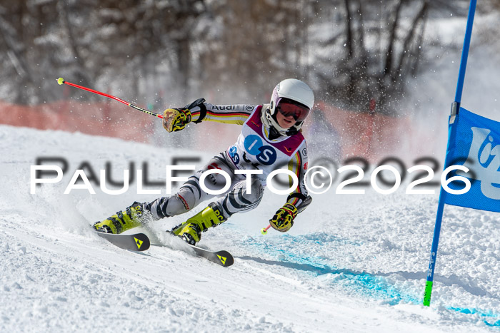 NC RS ,Frauen + Männer Axamer Lizum 28.03.2026