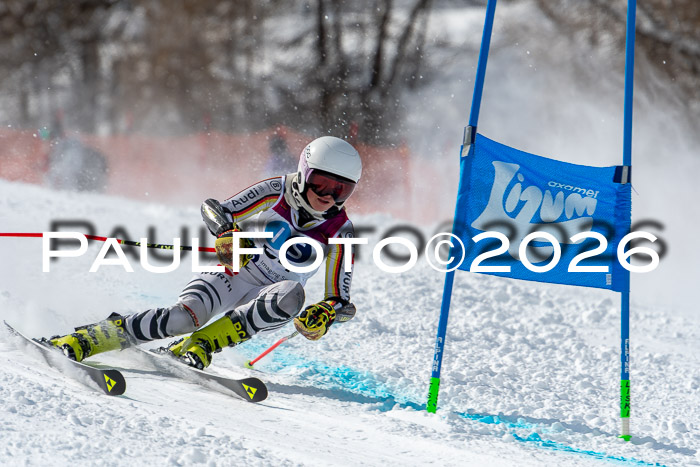 NC RS ,Frauen + Männer Axamer Lizum 28.03.2026