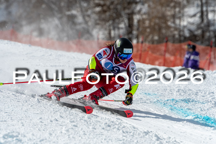 NC RS ,Frauen + Männer Axamer Lizum 28.03.2026