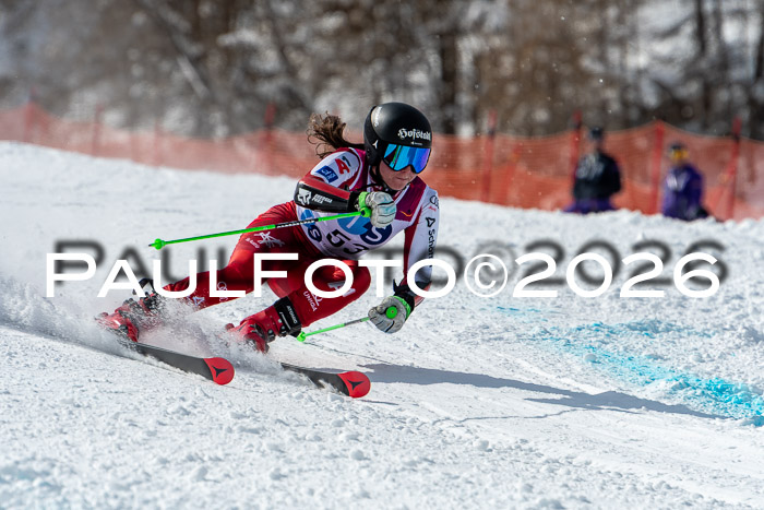 NC RS ,Frauen + Männer Axamer Lizum 28.03.2026