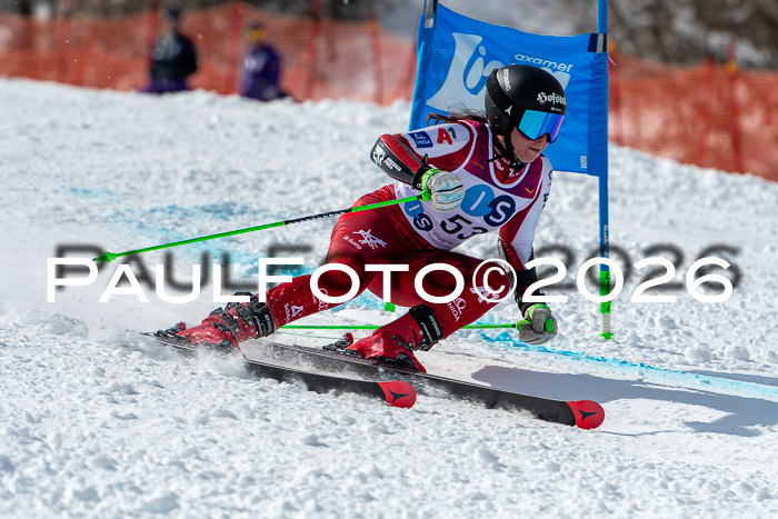 NC RS ,Frauen + Männer Axamer Lizum 28.03.2026