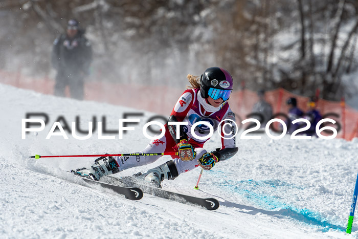 NC RS ,Frauen + Männer Axamer Lizum 28.03.2026