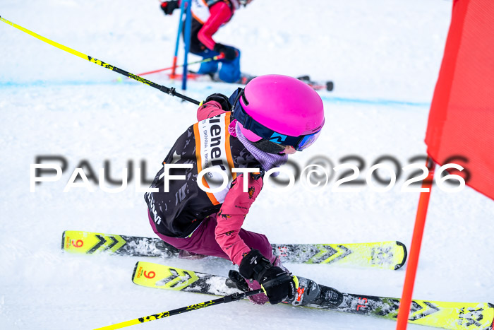 Ziener CupFinale PSL Trögllift, 28.03.2026