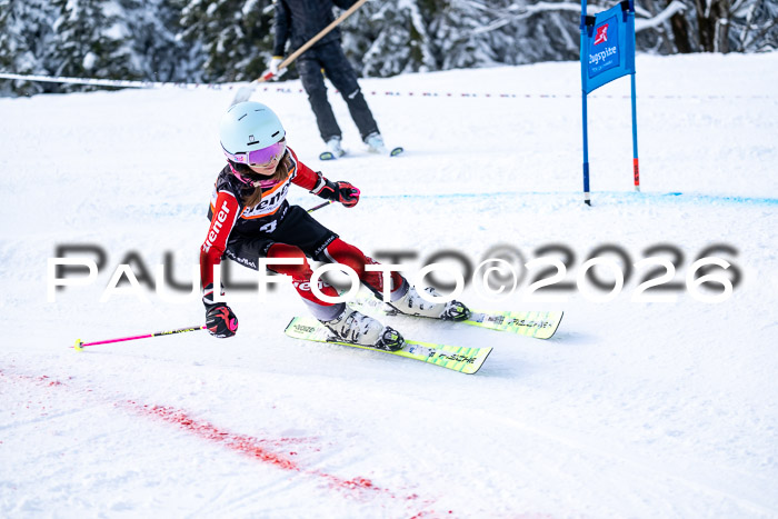 Ziener CupFinale PSL Trögllift, 28.03.2026