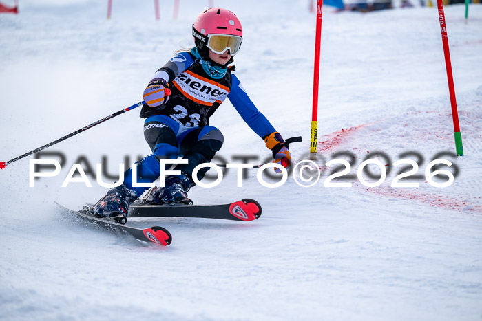 Ziener CupFinale PSL Trögllift, 28.03.2026