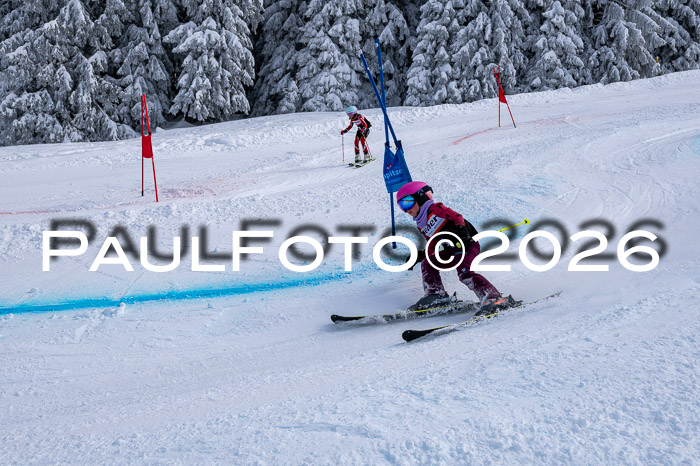 Ziener CupFinale PSL Trögllift, 28.03.2026