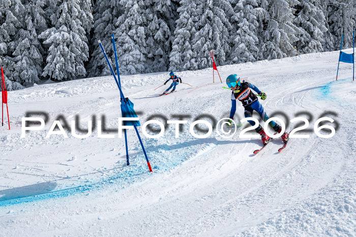 Ziener CupFinale PSL Trögllift, 28.03.2026