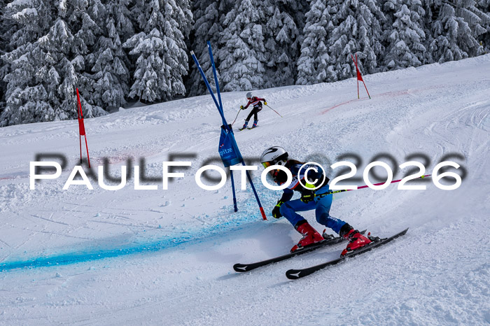 Ziener CupFinale PSL Trögllift, 28.03.2026