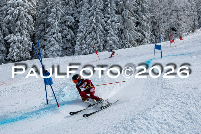 Ziener CupFinale PSL Trögllift, 28.03.2026