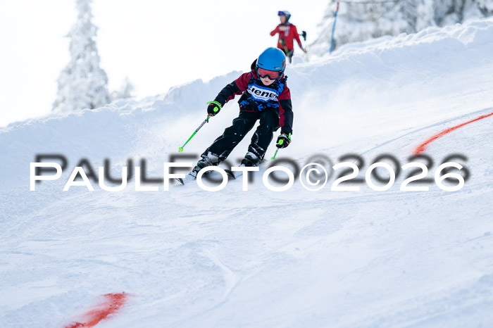 Ziener CupFinale PSL Trögllift, 28.03.2026