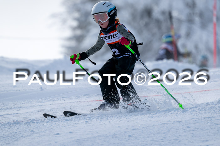 Ziener CupFinale PSL Trögllift, 28.03.2026