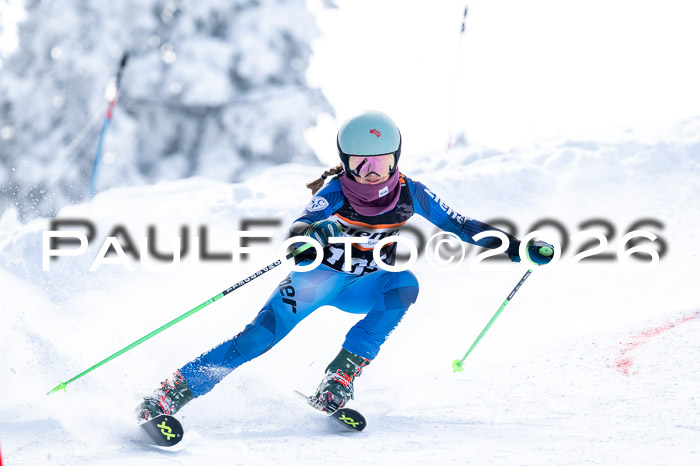 Ziener CupFinale PSL Trögllift, 28.03.2026