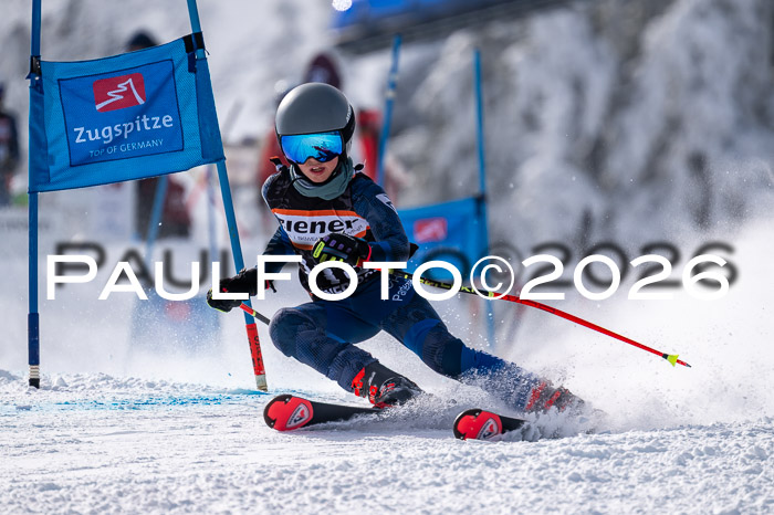 Ziener CupFinale PSL Trögllift, 28.03.2026