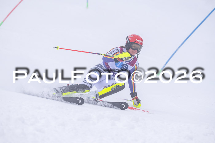 NC SL ,Frauen + Männer Axamer Lizum 29.03.2026