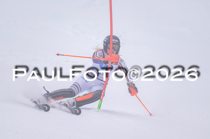 NC SL ,Frauen + Männer Axamer Lizum 29.03.2026