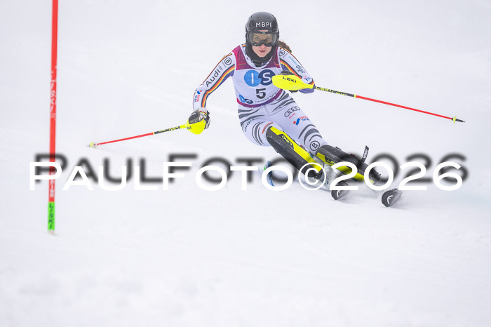 NC SL ,Frauen + Männer Axamer Lizum 29.03.2026