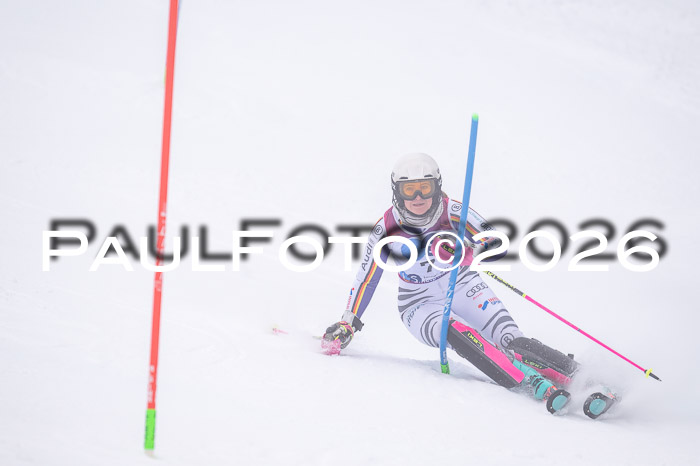 NC SL ,Frauen + Männer Axamer Lizum 29.03.2026