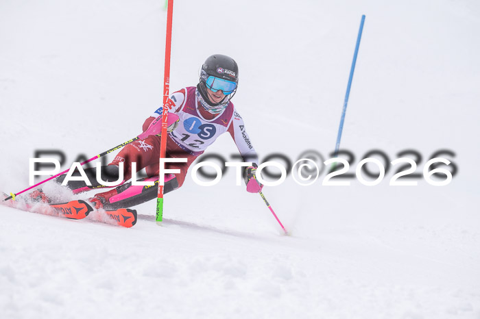 NC SL ,Frauen + Männer Axamer Lizum 29.03.2026