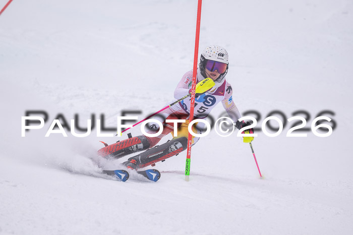 NC SL ,Frauen + Männer Axamer Lizum 29.03.2026