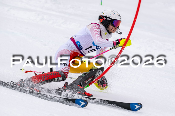 NC SL ,Frauen + Männer Axamer Lizum 29.03.2026