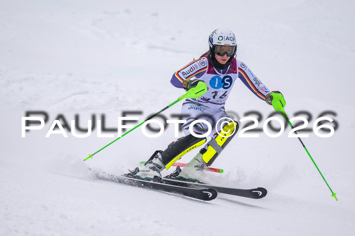 NC SL ,Frauen + Männer Axamer Lizum 29.03.2026