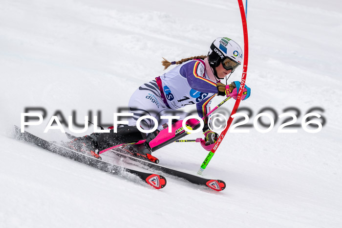 NC SL ,Frauen + Männer Axamer Lizum 29.03.2026