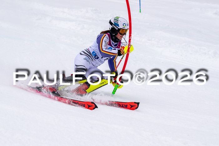 NC SL ,Frauen + Männer Axamer Lizum 29.03.2026