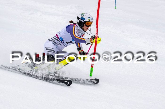 NC SL ,Frauen + Männer Axamer Lizum 29.03.2026